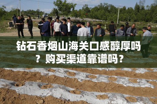 钻石香烟山海关口感醇厚吗？购买渠道靠谱吗？